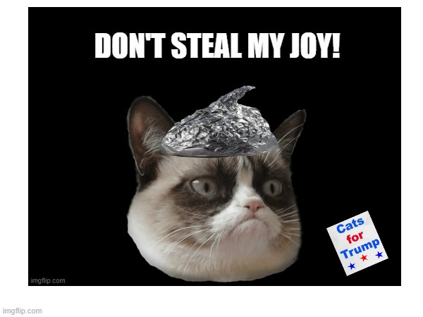 Don't Steal My Joy - Cats for Trump | image tagged in tin foil hat,cat | made w/ Imgflip meme maker