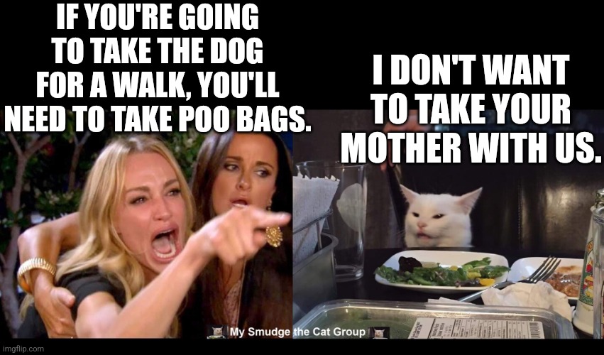 IF YOU'RE GOING TO TAKE THE DOG FOR A WALK, YOU'LL NEED TO TAKE POO BAGS. I DON'T WANT TO TAKE YOUR MOTHER WITH US. | image tagged in smudge the cat | made w/ Imgflip meme maker