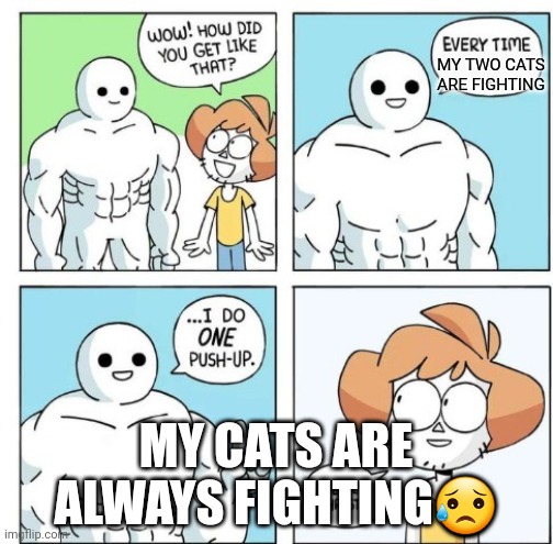 Oof | MY TWO CATS ARE FIGHTING; MY CATS ARE ALWAYS FIGHTING😥 | image tagged in i do one push-up | made w/ Imgflip meme maker