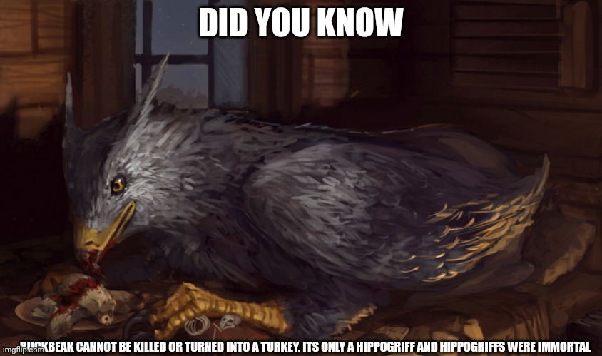 Buckbeak | DID YOU KNOW; BUCKBEAK CANNOT BE KILLED OR TURNED INTO A TURKEY. ITS ONLY A HIPPOGRIFF AND HIPPOGRIFFS WERE IMMORTAL | image tagged in buckbeak | made w/ Imgflip meme maker