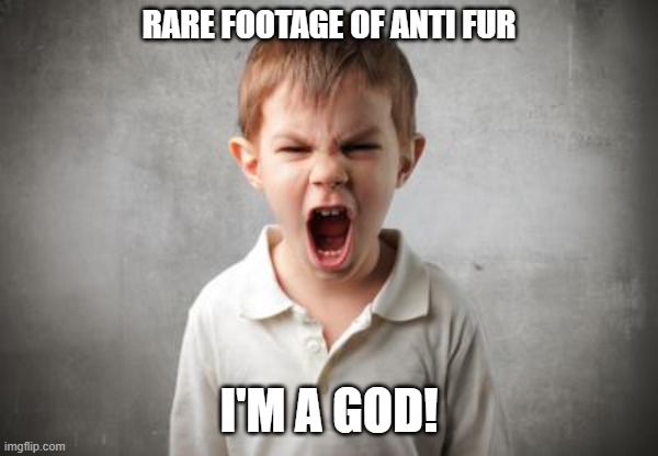 angry kid | RARE FOOTAGE OF ANTI FUR I'M A GOD! | image tagged in angry kid | made w/ Imgflip meme maker