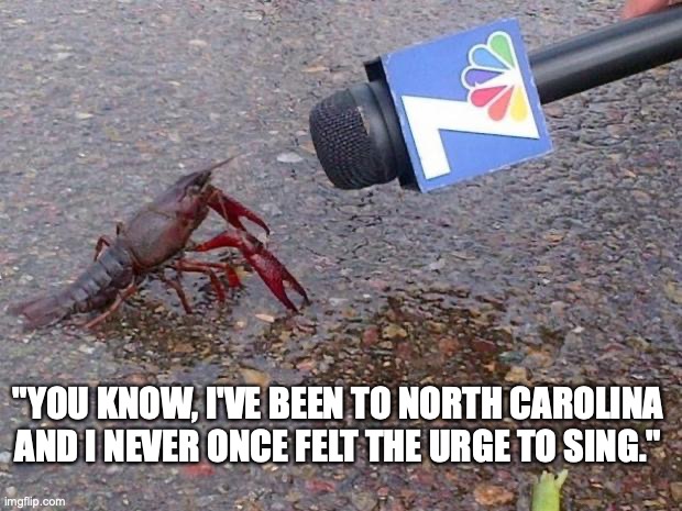 A crawdad who didn't care for Della Owens's book | "YOU KNOW, I'VE BEEN TO NORTH CAROLINA AND I NEVER ONCE FELT THE URGE TO SING." | image tagged in crawfish interview | made w/ Imgflip meme maker