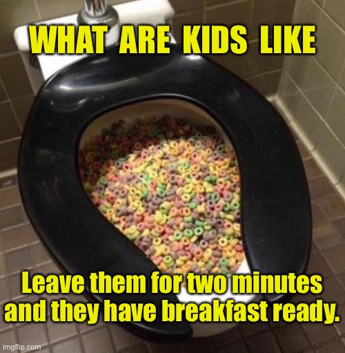 Kids at breakfast | WHAT  ARE  KIDS  LIKE; Leave them for two minutes and they have breakfast ready. | image tagged in breakfast,leave them,two minutes,look breakfasts ready | made w/ Imgflip meme maker