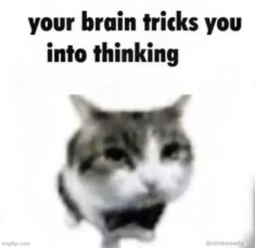 the | image tagged in your brain tricks you into thinking | made w/ Imgflip meme maker
