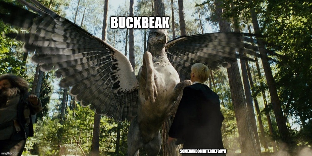 Hes a lion gu@rd fan | BUCKBEAK; SOMERANDOMINTERNETGUYII | image tagged in buckbeak attacking draco malfoy | made w/ Imgflip meme maker