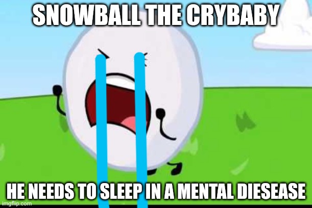 This is kion's clone | SNOWBALL THE CRYBABY; HE NEEDS TO SLEEP IN A MENTAL DIESEASE | image tagged in this is kion | made w/ Imgflip meme maker