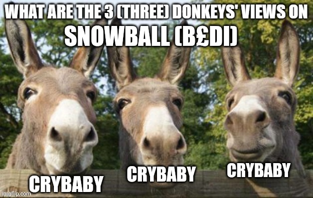 Snowball from bfdi is a clone for kion | SNOWBALL (B£DI); CRYBABY; CRYBABY; CRYBABY | image tagged in what are the 3 three donkeys' views on x | made w/ Imgflip meme maker