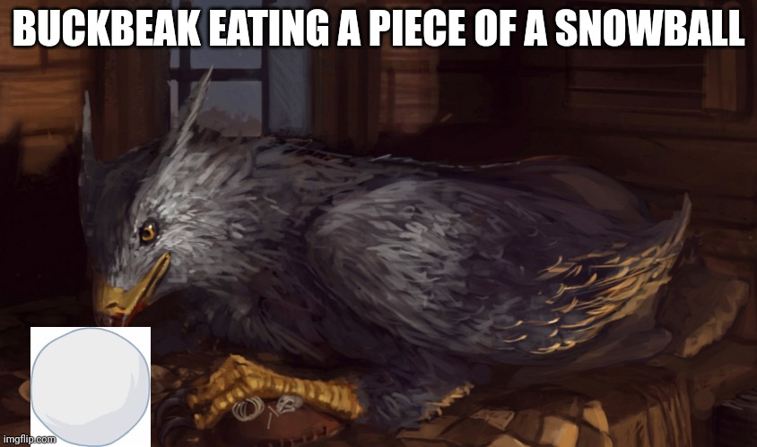 Buckbeak | BUCKBEAK EATING A PIECE OF A SNOWBALL | image tagged in buckbeak | made w/ Imgflip meme maker