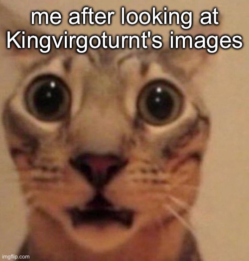HE HAS RULE 34 ON THERE | me after looking at Kingvirgoturnt's images | image tagged in shocked cat | made w/ Imgflip meme maker