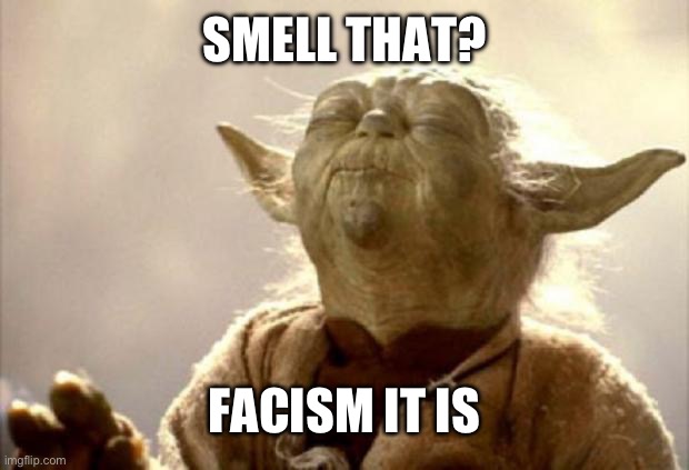 yoda smell | SMELL THAT? FACISM IT IS | image tagged in yoda smell | made w/ Imgflip meme maker