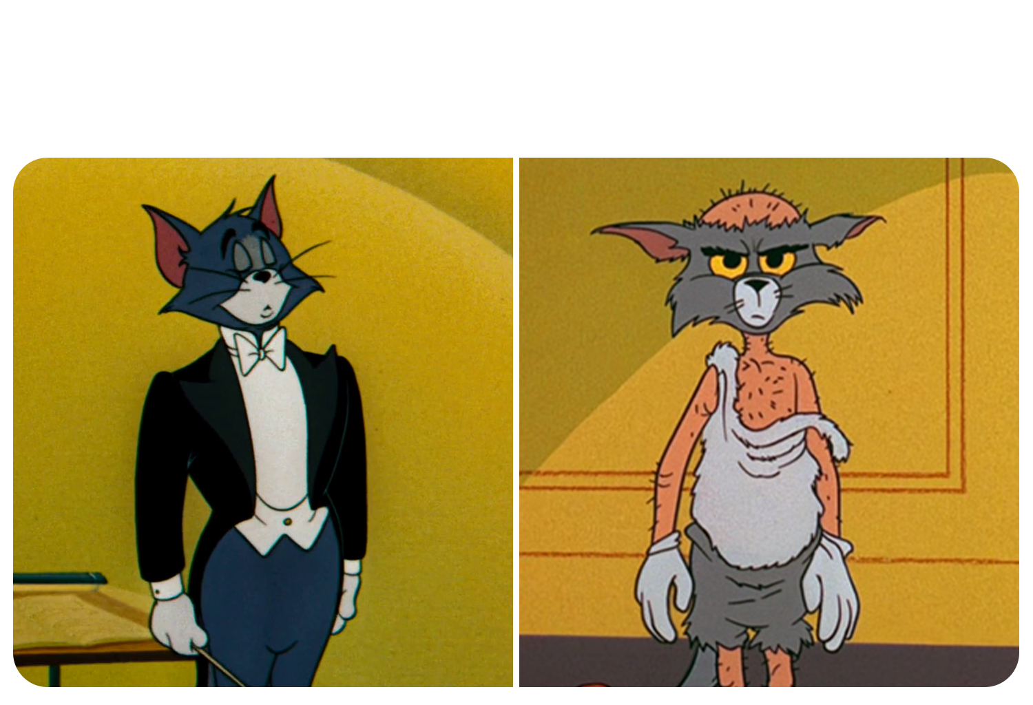 High Quality Tom in tuxedo and Haggard Tom Blank Meme Template