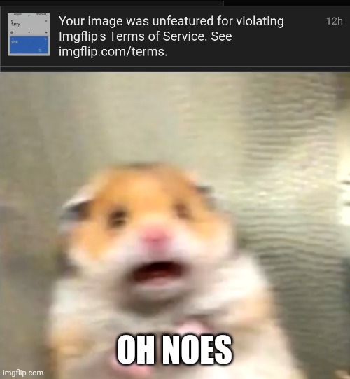 OH NOES | image tagged in scared hamster,oh no | made w/ Imgflip meme maker