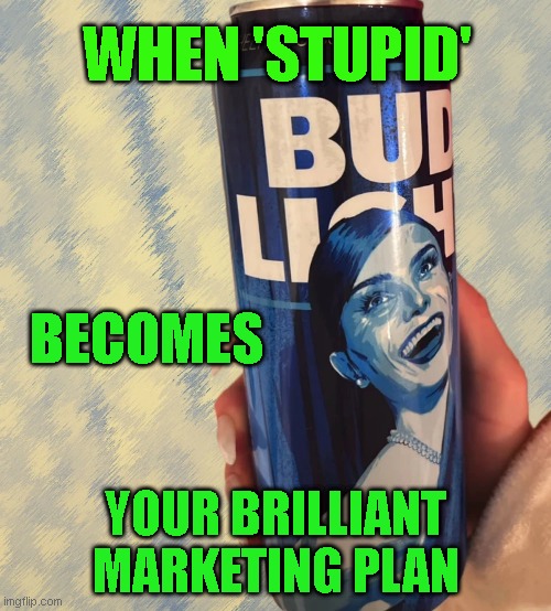 WHEN 'STUPID'; BECOMES; YOUR BRILLIANT
MARKETING PLAN | made w/ Imgflip meme maker