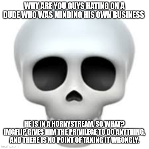 Y'all know who I'm talking about | WHY ARE YOU GUYS HATING ON A DUDE WHO WAS MINDING HIS OWN BUSINESS; HE IS IN A HORNYSTREAM, SO WHAT? IMGFLIP GIVES HIM THE PRIVILEGE TO DO ANYTHING, AND THERE IS NO POINT OF TAKING IT WRONGLY. | image tagged in skull | made w/ Imgflip meme maker