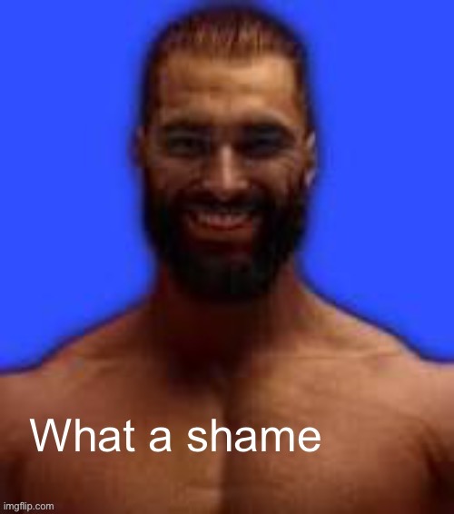 What a shame | image tagged in what a shame | made w/ Imgflip meme maker