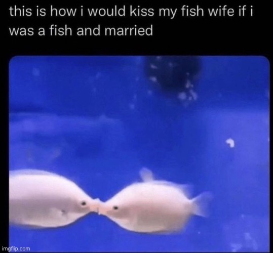 Except not even fish would want me | made w/ Imgflip meme maker