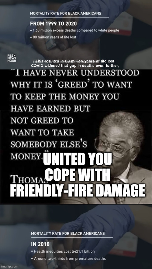 united you cope with friendly-fire damage | UNITED YOU COPE WITH FRIENDLY-FIRE DAMAGE | image tagged in like mlk jr they opportunistically cope in blackness,black economics man says | made w/ Imgflip meme maker