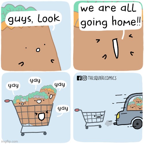 Home | image tagged in home,grocery,groceries,shopping cart,comics,comics/cartoons | made w/ Imgflip meme maker