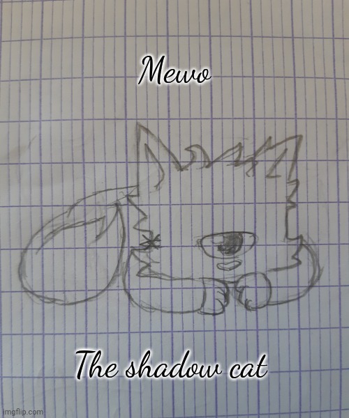 Mewo the shadow cat | Mewo; The shadow cat | image tagged in mewo the shadow cat | made w/ Imgflip meme maker