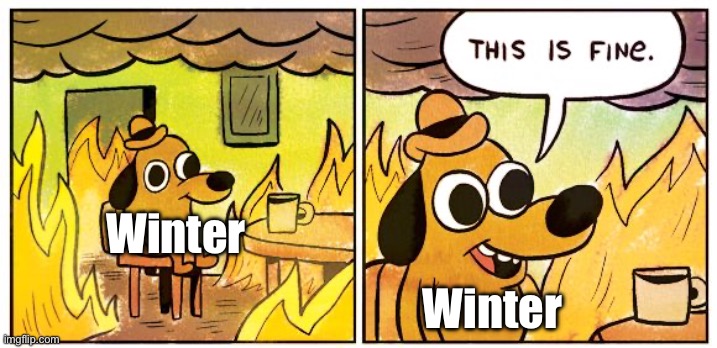 Winter during the events of darkstalker | Winter; Winter | image tagged in memes,this is fine | made w/ Imgflip meme maker