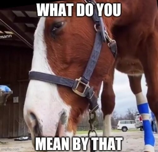 . | image tagged in what do you mean by that horse | made w/ Imgflip meme maker