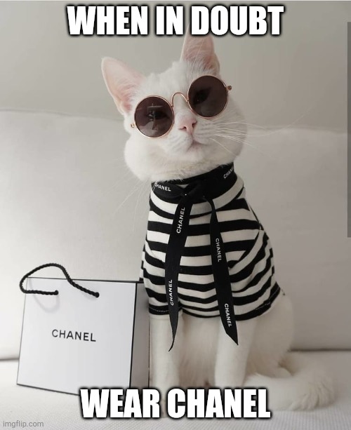 FASHION KITTY | WHEN IN DOUBT; WEAR CHANEL | image tagged in fashion kitty | made w/ Imgflip meme maker