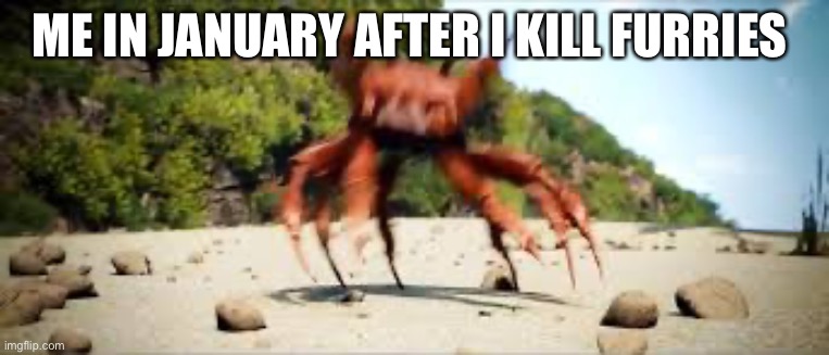 crab rave | ME IN JANUARY AFTER I KILL FURRIES | image tagged in crab rave | made w/ Imgflip meme maker