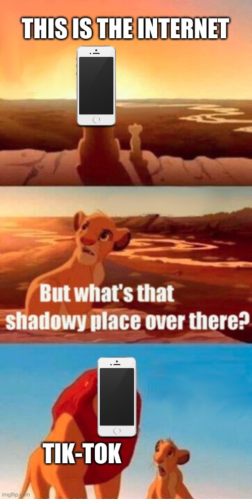 Don't go there. It's dangerous | THIS IS THE INTERNET; TIK-TOK | image tagged in memes,simba shadowy place,funny memes,tiktok,tiktok sucks,funny | made w/ Imgflip meme maker
