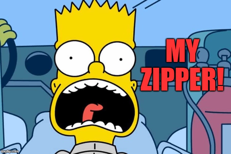 bart | MY ZIPPER! | image tagged in bart | made w/ Imgflip meme maker