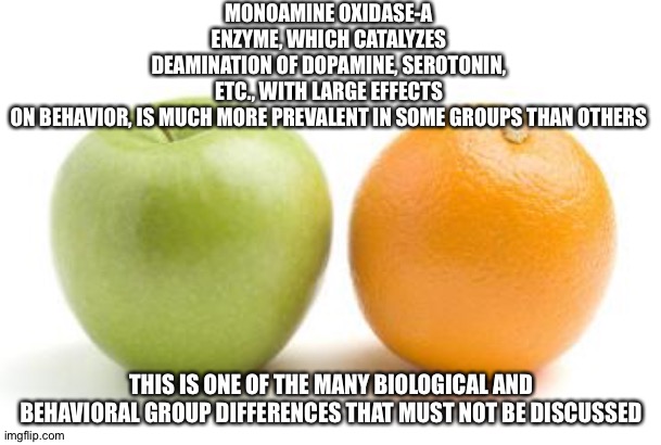 apples oranges compare difference | MONOAMINE OXIDASE-A ENZYME, WHICH CATALYZES DEAMINATION OF DOPAMINE, SEROTONIN, ETC., WITH LARGE EFFECTS ON BEHAVIOR, IS MUCH MORE PREVALENT IN SOME GROUPS THAN OTHERS; THIS IS ONE OF THE MANY BIOLOGICAL AND BEHAVIORAL GROUP DIFFERENCES THAT MUST NOT BE DISCUSSED | image tagged in apples oranges compare difference | made w/ Imgflip meme maker