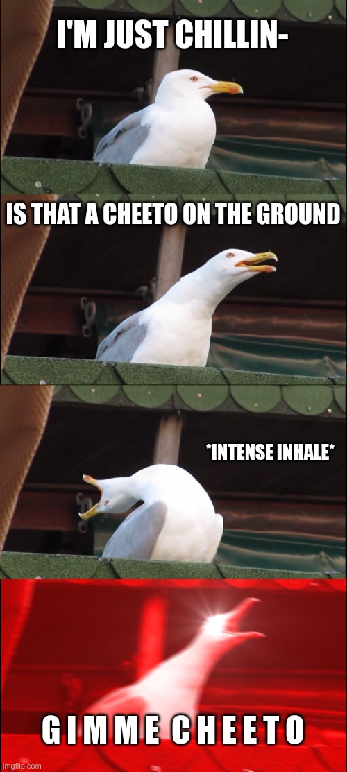 C H E E T O | I'M JUST CHILLIN-; IS THAT A CHEETO ON THE GROUND; *INTENSE INHALE*; G I M M E  C H E E T O | image tagged in memes,inhaling seagull | made w/ Imgflip meme maker
