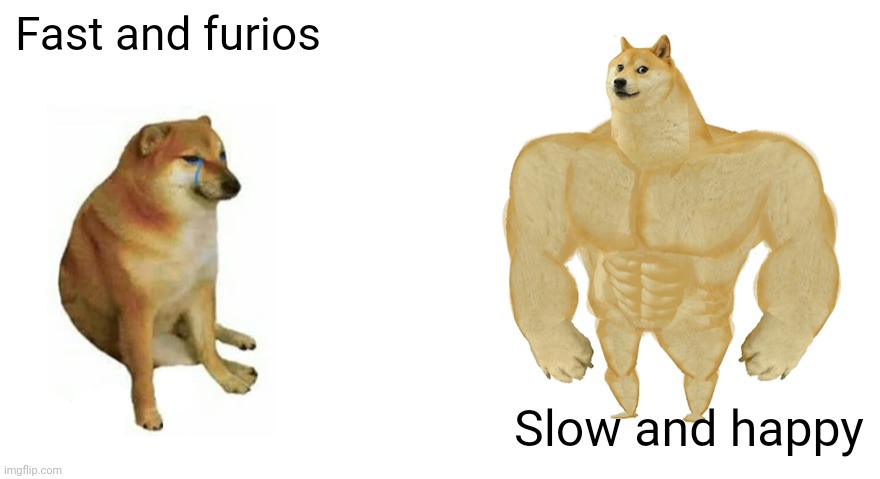 Swole Doge vs. Cheems flipped | Fast and furios; Slow and happy | image tagged in swole doge vs cheems flipped | made w/ Imgflip meme maker