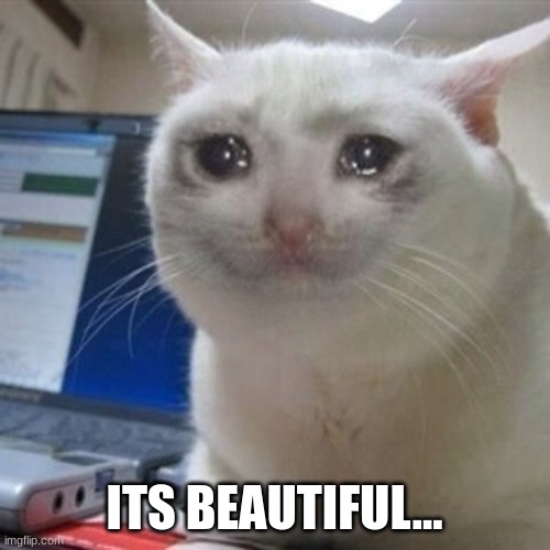 Crying cat | ITS BEAUTIFUL... | image tagged in crying cat | made w/ Imgflip meme maker