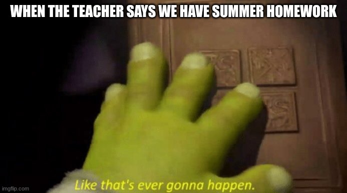 Like that's ever gonna happen. | WHEN THE TEACHER SAYS WE HAVE SUMMER HOMEWORK | image tagged in like that's ever gonna happen | made w/ Imgflip meme maker