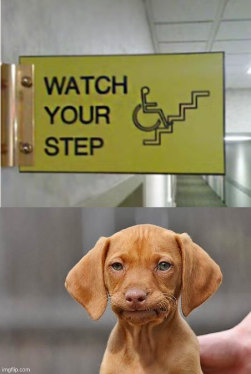 how do you even do something like this? | image tagged in dissapointed puppy,you had one job,funny signs | made w/ Imgflip meme maker