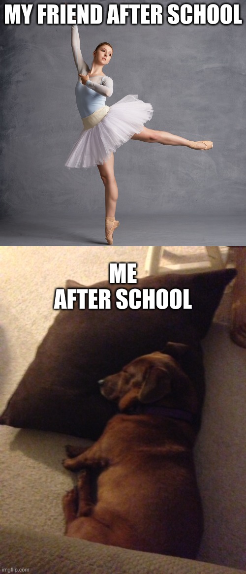 My Life | MY FRIEND AFTER SCHOOL; ME AFTER SCHOOL | image tagged in my life,funny | made w/ Imgflip meme maker