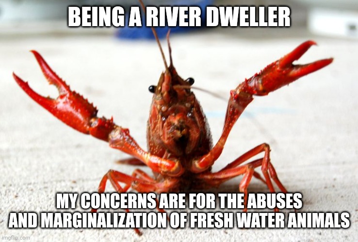 crawfish | BEING A RIVER DWELLER MY CONCERNS ARE FOR THE ABUSES AND MARGINALIZATION OF FRESH WATER ANIMALS | image tagged in crawfish | made w/ Imgflip meme maker