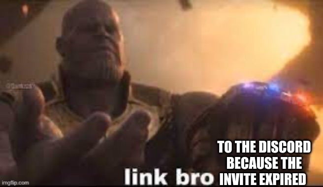 link bro | TO THE DISCORD BECAUSE THE INVITE EXPIRED | image tagged in link bro | made w/ Imgflip meme maker