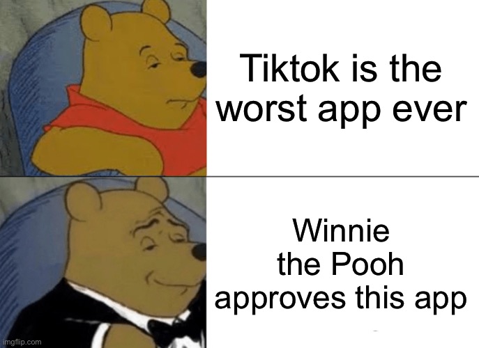 Tuxedo Winnie The Pooh Meme | Tiktok is the worst app ever Winnie the Pooh approves this app | image tagged in memes,tuxedo winnie the pooh | made w/ Imgflip meme maker