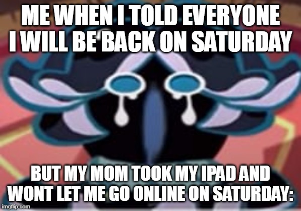 nooooo | ME WHEN I TOLD EVERYONE I WILL BE BACK ON SATURDAY; BUT MY MOM TOOK MY IPAD AND WONT LET ME GO ONLINE ON SATURDAY: | image tagged in crk,memes,cry | made w/ Imgflip meme maker