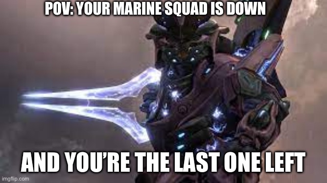 Why did it have to be the zealot. | POV: YOUR MARINE SQUAD IS DOWN; AND YOU’RE THE LAST ONE LEFT | image tagged in elite stabbing | made w/ Imgflip meme maker