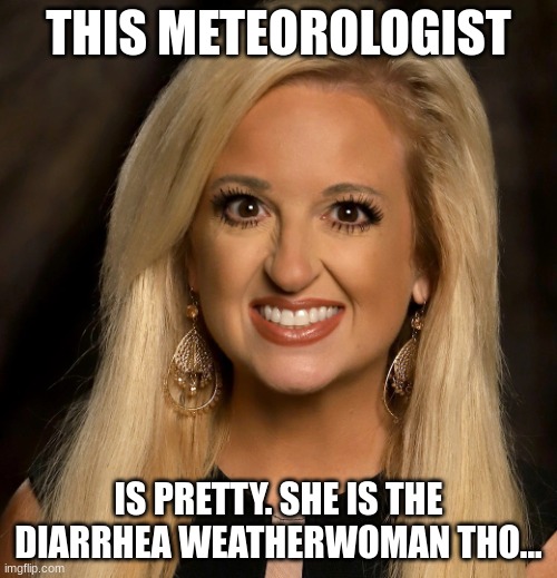 heather doppler be like | THIS METEOROLOGIST; IS PRETTY. SHE IS THE DIARRHEA WEATHERWOMAN THO... | image tagged in heather doppler,weather girl,diarrhea,weatherwoman,meteorologist,pretty | made w/ Imgflip meme maker