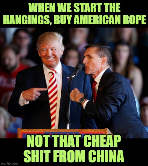 Sage Advice | WHEN WE START THE HANGINGS, BUY AMERICAN ROPE; NOT THAT CHEAP SHIT FROM CHINA | image tagged in treason,trump,flynn | made w/ Imgflip meme maker