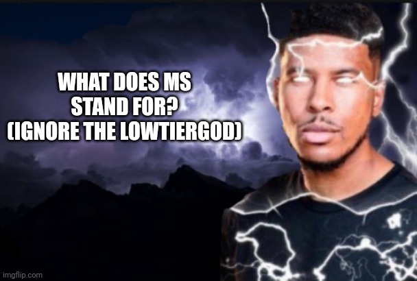 . | WHAT DOES MS STAND FOR?
(IGNORE THE LOWTIERGOD) | image tagged in you should kill yourself now | made w/ Imgflip meme maker