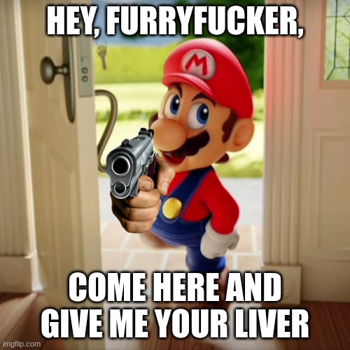 Liver | HEY, FURRYFUCKER, COME HERE AND GIVE ME YOUR LIVER | image tagged in maro is at your door,memes,anti furry | made w/ Imgflip meme maker