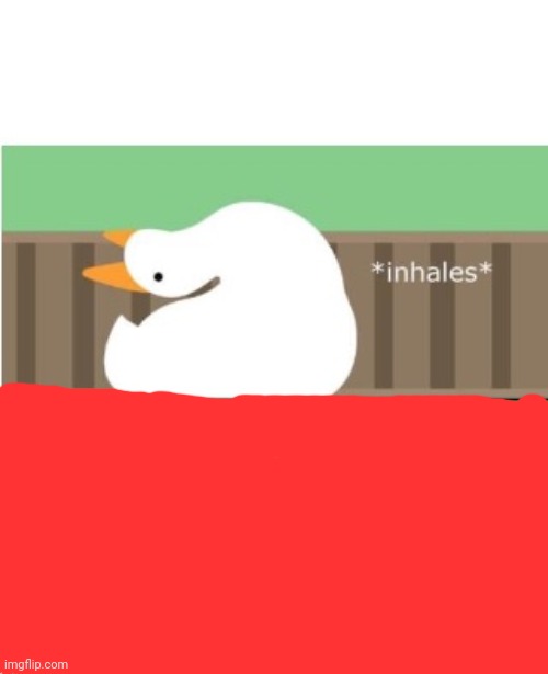Untitled goose game honk | image tagged in untitled goose game honk | made w/ Imgflip meme maker