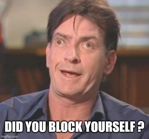 Charlie Sheen DERP | DID YOU BLOCK YOURSELF ? | image tagged in charlie sheen derp | made w/ Imgflip meme maker