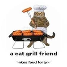 a cat grill friend | image tagged in a cat grill friend | made w/ Imgflip meme maker
