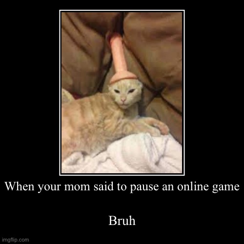 When your mom said to pause an online game | Bruh | image tagged in funny,demotivationals | made w/ Imgflip demotivational maker