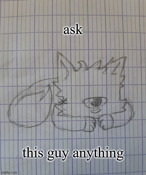 he doesn't have an age but ig somewhere around 18 | ask; this guy anything | image tagged in mewo the shadow cat | made w/ Imgflip meme maker